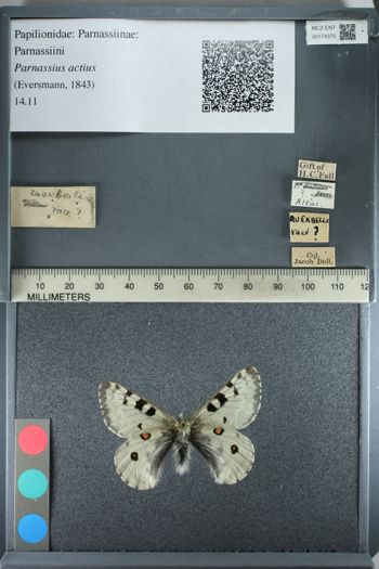 Media type: image;   Entomology 174375